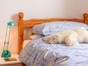 2 Bed in Holsworthy 82819