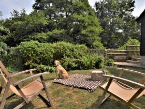 2 Bed in Chetnole 53673