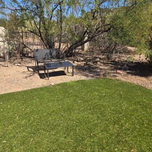 1-acre Spacious Desert Oasis Retreat near Downtown