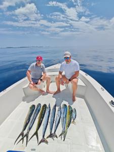 Blue Wave Hotel Maldives - FB a week booked free trip - fishing surfing snorkeling sandbank