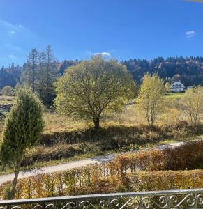 Apartament Ciśnianka