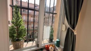 Jennys apartmen centar