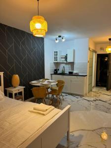 Studio confortabil,la câtiva pasi de centrul Craiovei!