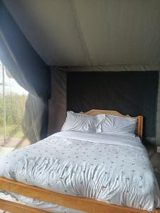 Semadep Village Guest House