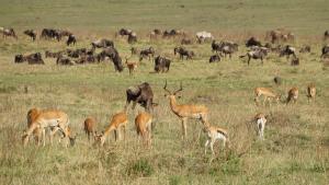 Semadep Village Guest House