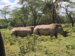 Semadep Village Guest House