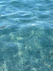 La Stella Gregoriana