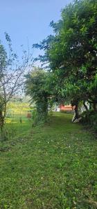 Bougainvilla Mountain Retreat, near Bhimtal