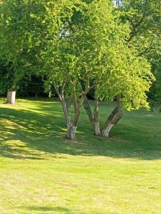 Gîte Au Bord de la Baie de Somme