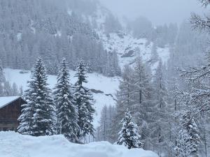 La Baïta De La Foux