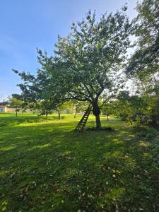 Rénovation de charme, nature, étang, authenticité