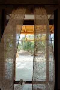 Trullo Corni di Fiasco