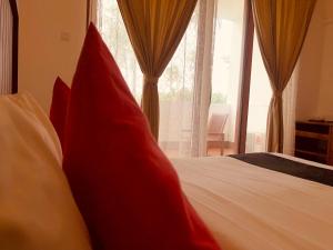 Capital Wind Beach Cabanas