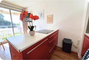 Appartement cosy Le Phoebus