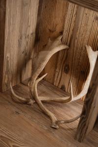 Luxury Chalet Black Mountain - 4BR, Sleeps 10, Fireplace, Mountain Views & Garden - Megève