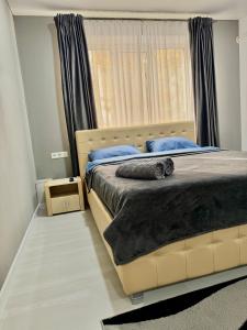 Apartament Edinet-единец