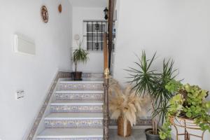 Sol 2D - Solo familias o parejas