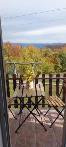 Apartmani Rajić, Tara