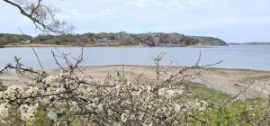 Spacious holiday home in Ellös 300 m to a beautiful sandy beach SE09113