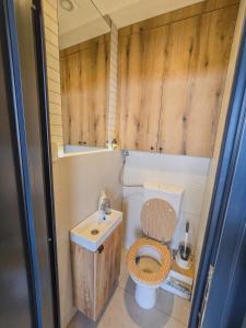 RentiGo Balans House Wellness Container with Sauna and Jacuzzi