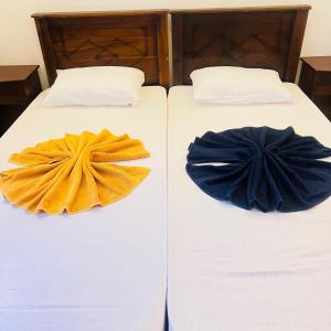 Palms and Paradise Lanka