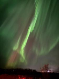 LL Properties - Aurora Lodges