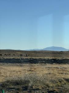 LL Properties - Aurora Lodges