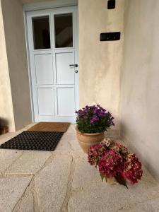 Chalupa na konci světa Světlá