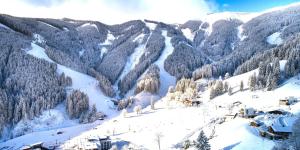 Sunny Ferienwohnungen Ski In - Ski Out - Self Check-in