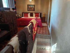 Riad Amirat Al Jamal