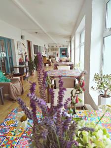 CECAS at Myross Wood House