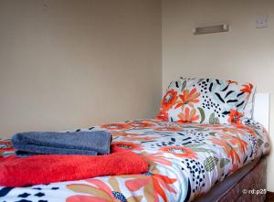 CECAS at Myross Wood House