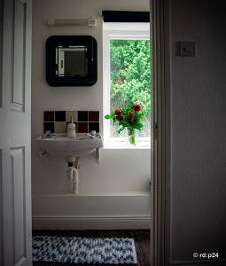 CECAS at Myross Wood House