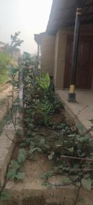 Shiva Lika home stay