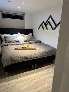 Aurora Polaris Apartment - Outdoor Sauna - FREE Parking - 750m from City Center