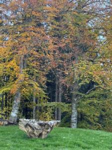 The Pines Bucegi Lodge
