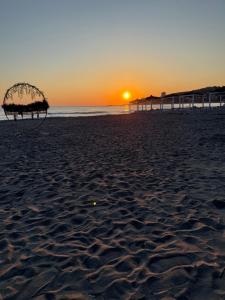 holiday shengjin kune