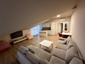 holiday shengjin kune