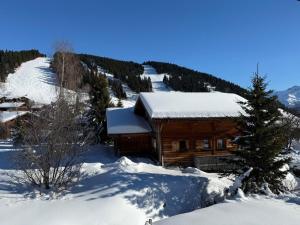 Chalet Exalta