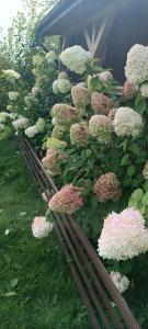 Domek pod Dębami Bogaczewo