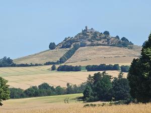 Warburg, FeWo "Sweet Home" 2,5 Zi- EG-separater Eingang - Parkplatz - Terasse- komfortabel,renoviert