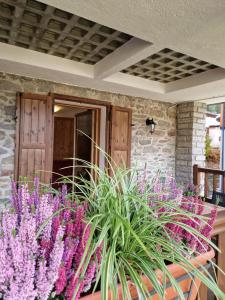 La Maison Des Coeurs, Cogne