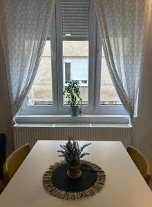 Studio Apartment Ivy