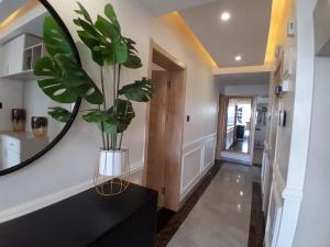 Urban oasis apartment