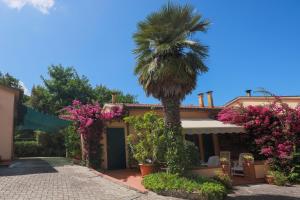 Casa dei Fiori - Goelba