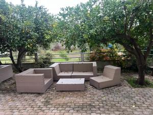 KONTOGIANNIS lihas club 2