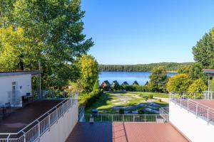 Eisvogel Classic 303