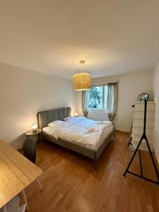 Simple Apartment with Natural Light