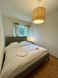 Simple Apartment with Natural Light