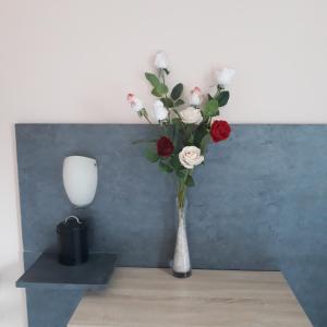 VUE EXCEPTIONNELLE SUR LE LAC